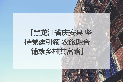 黑龙江省庆安县 坚持党建引领 农旅融合铺就乡村共富路